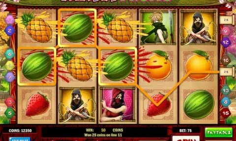 Ninja Fruits Slot Free