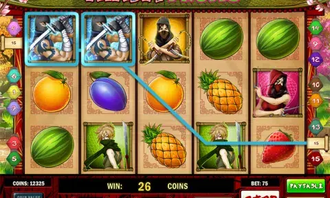 Ninja Fruits Slot Online