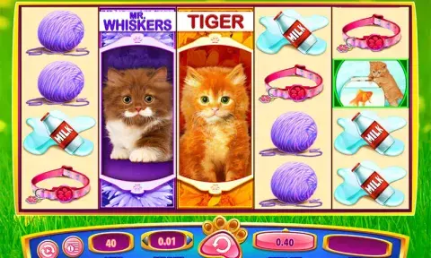 OMG Kittens Slot Game