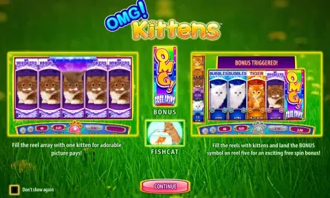 OMG Kittens Slot Paytable