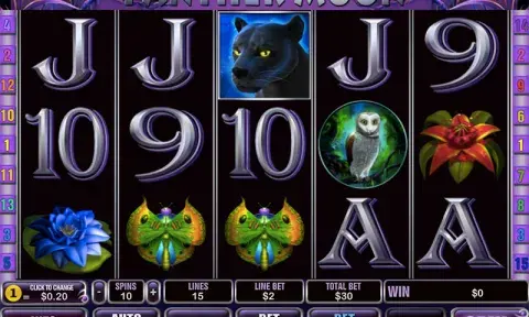 Panther Moon Slot Game