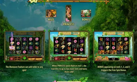 Rainforest Dream Slot Paytable