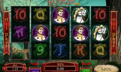 Robyn Slot Free