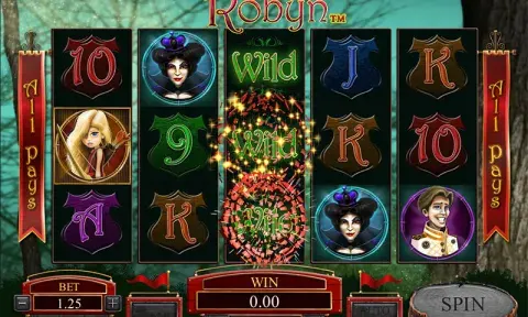 Robyn Slot Game