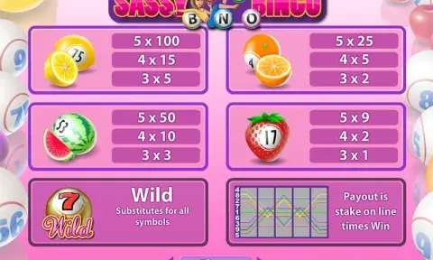 Sassy Bingo Slot Paytable