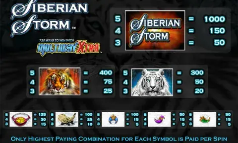 Siberian Storm Slot Game