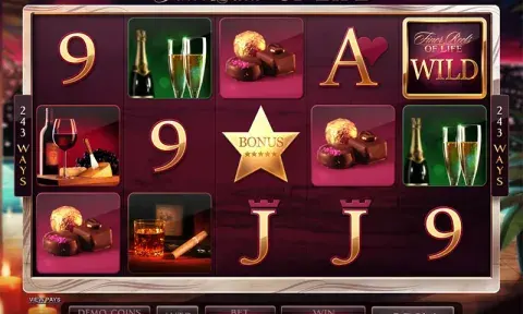 The Finer Reels of Life Slot Game
