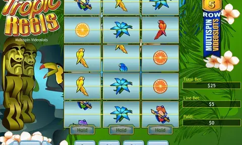Tropic Reels Slot Game