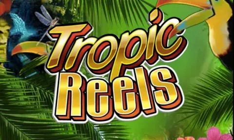 Tropic Reels Slot