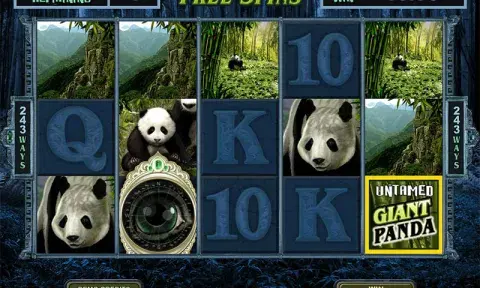 Untamed Giant Panda Slot Free Spins