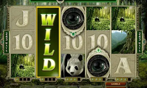 Untamed Giant Panda Slot Game