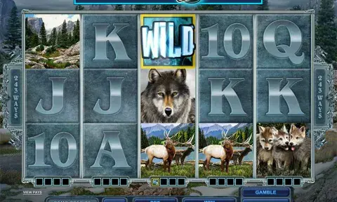 Untamed Wolf Pack Slot Game
