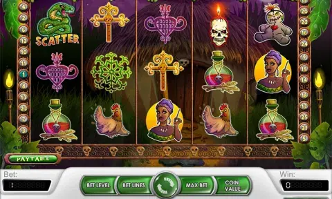 Voodoo Vibes Slot Game