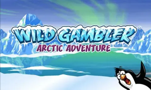 Wild Gambler 2: Arctic Adventure Slot