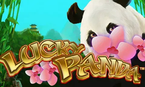 Lucky Panda Slot Logo