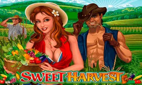 Sweet Harvest Slot Logo