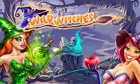 Wild Witches Slot Logo