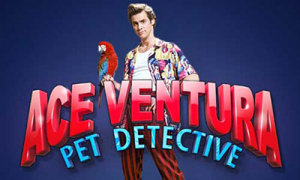 Ace Ventura Slot Logo