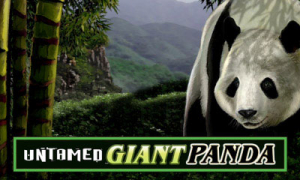 Untamed Giant Panda Slot Logo