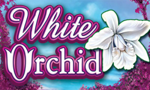 White Orchid Slot Logo