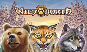 Wild North Slot Logo